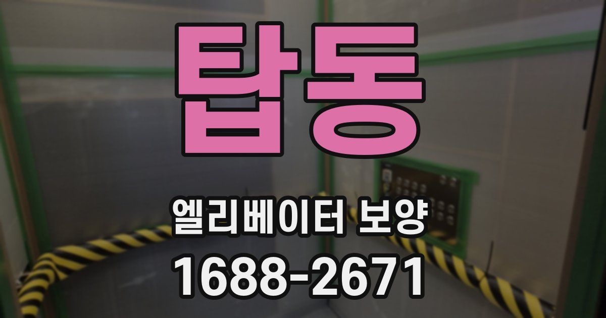탑동 엘리베이터 보양