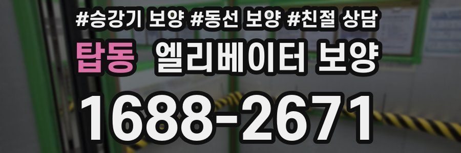 탑동 엘리베이터 보양