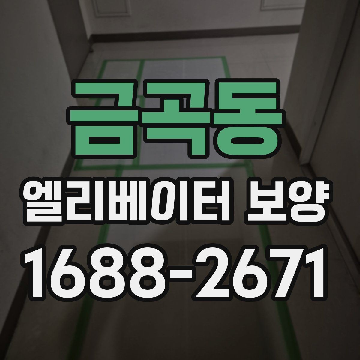 금곡동 엘리베이터 보양 범위는 어디까지 해야 할까