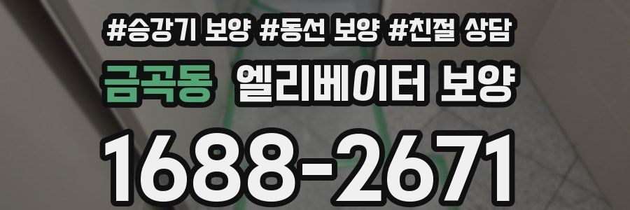 금곡동 엘리베이터 보양