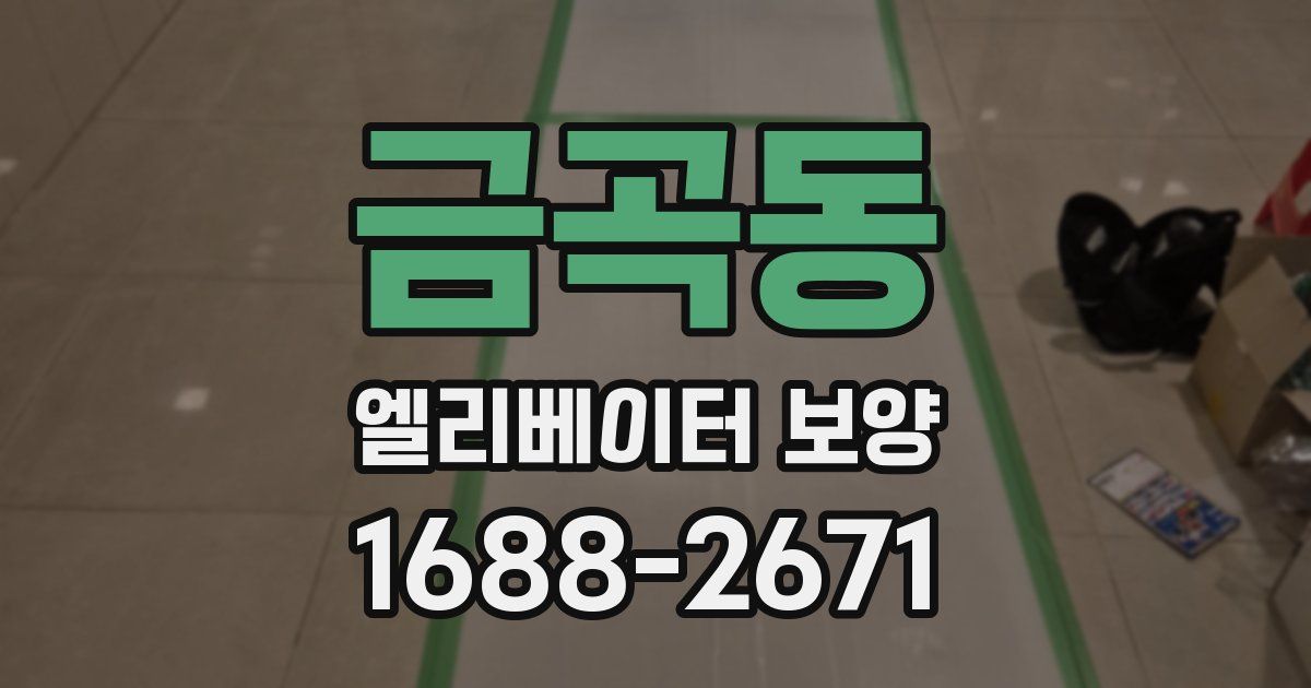금곡동 엘리베이터 보양