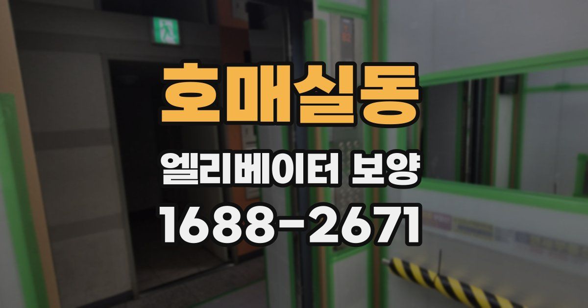 호매실동 엘리베이터 보양