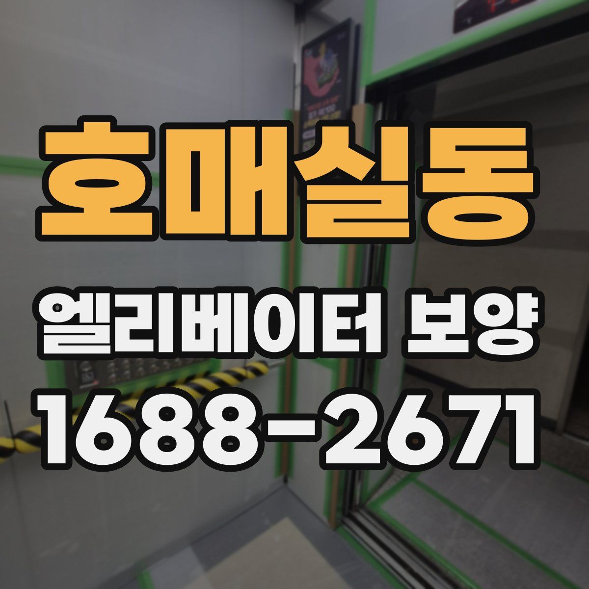 호매실동 엘리베이터 보양