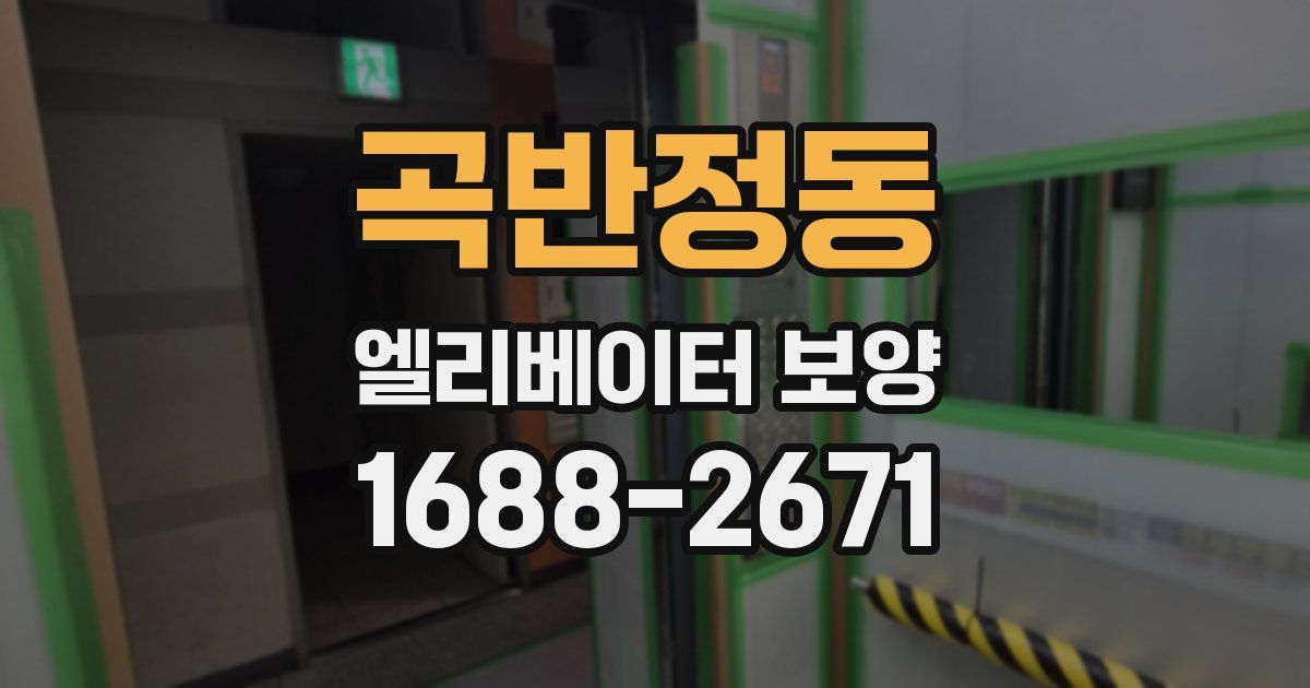 곡반정동 엘리베이터 보양