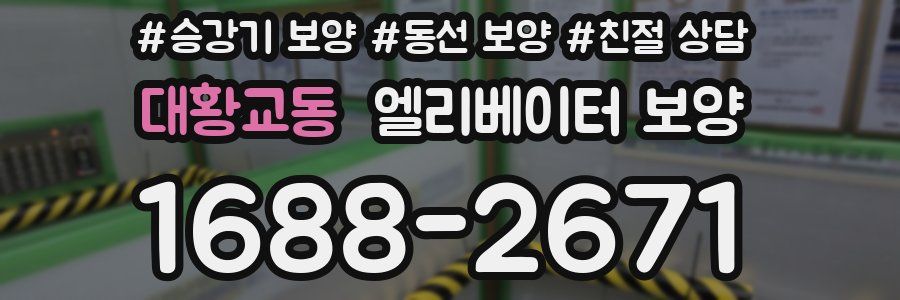 대황교동 엘리베이터 보양