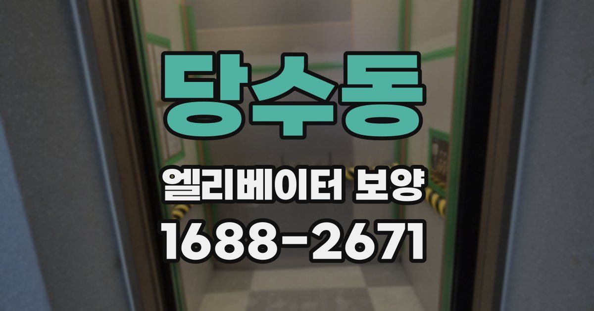 당수동 엘리베이터 보양
