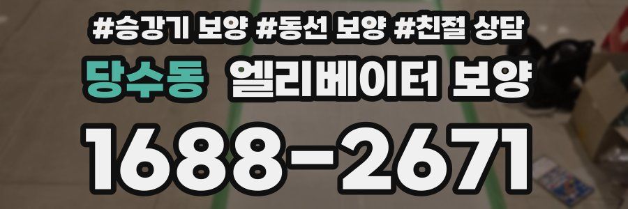 당수동 엘리베이터 보양