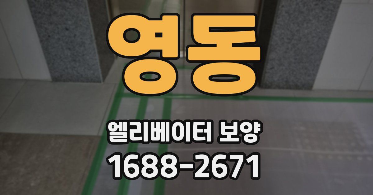 영동 엘리베이터 보양