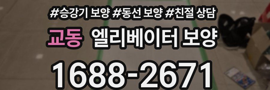 교동 엘리베이터 보양