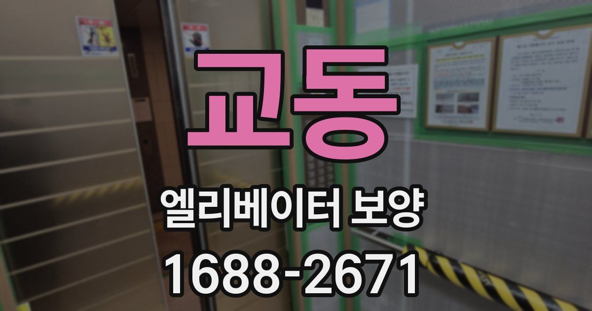 교동 엘리베이터 보양