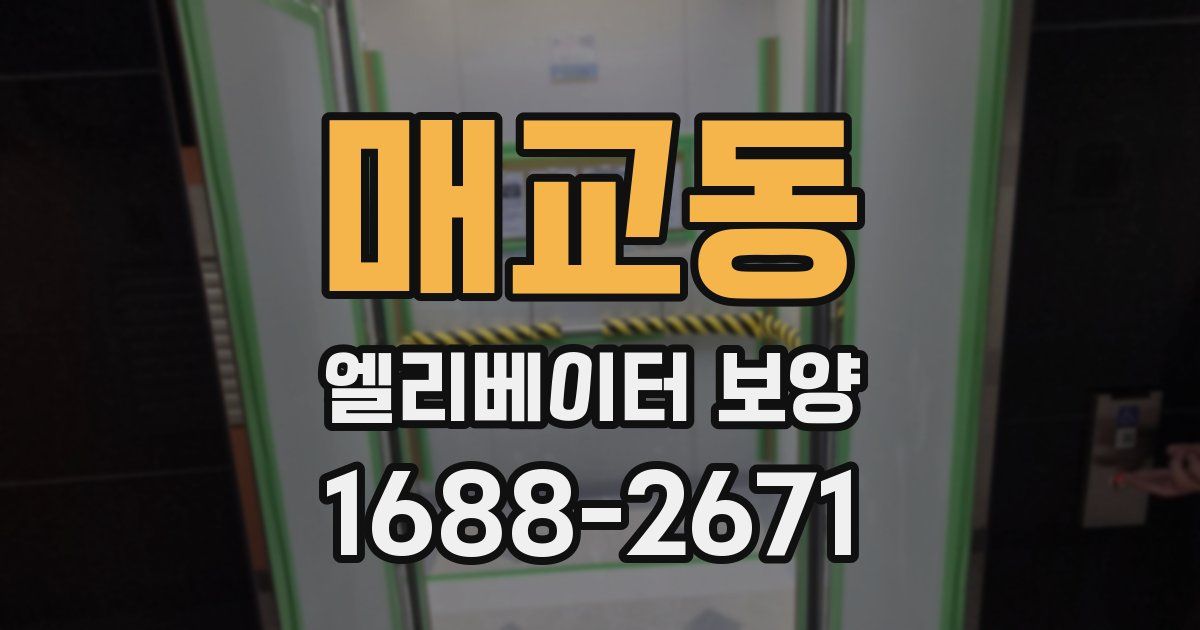 매교동 엘리베이터 보양