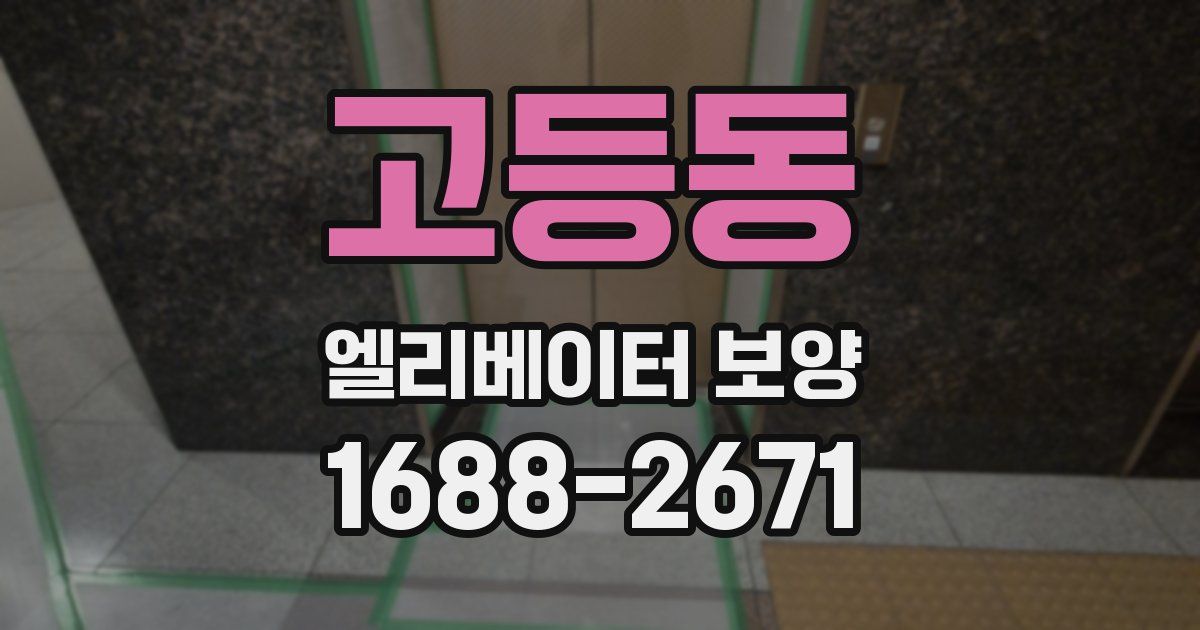 고등동 엘리베이터 보양