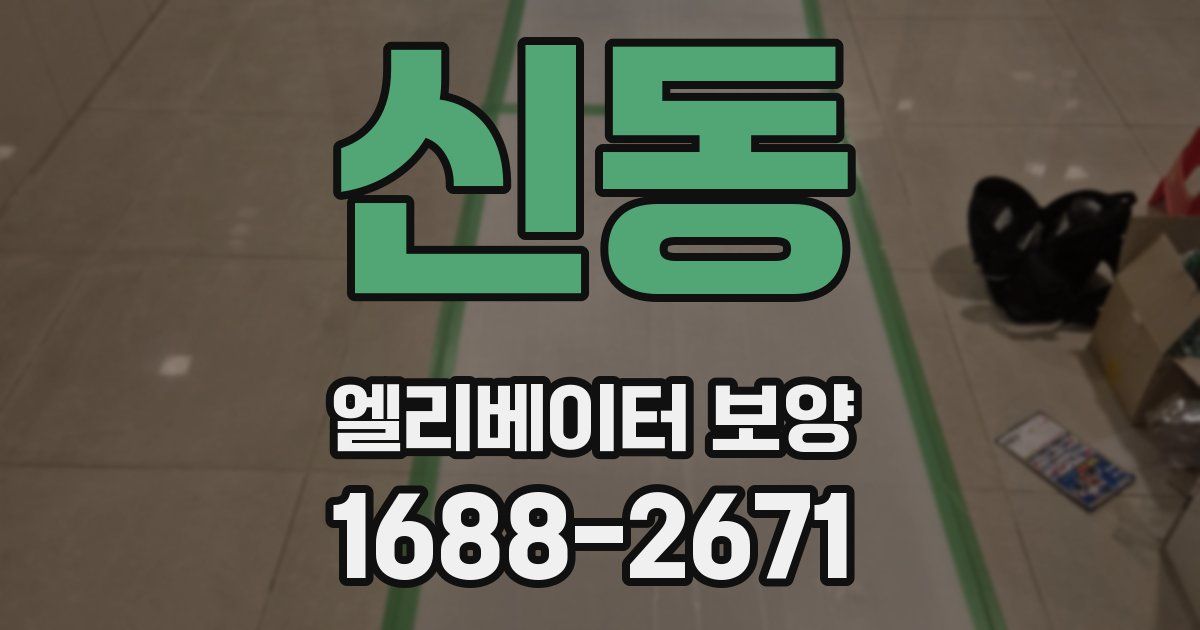 신동 엘리베이터 보양