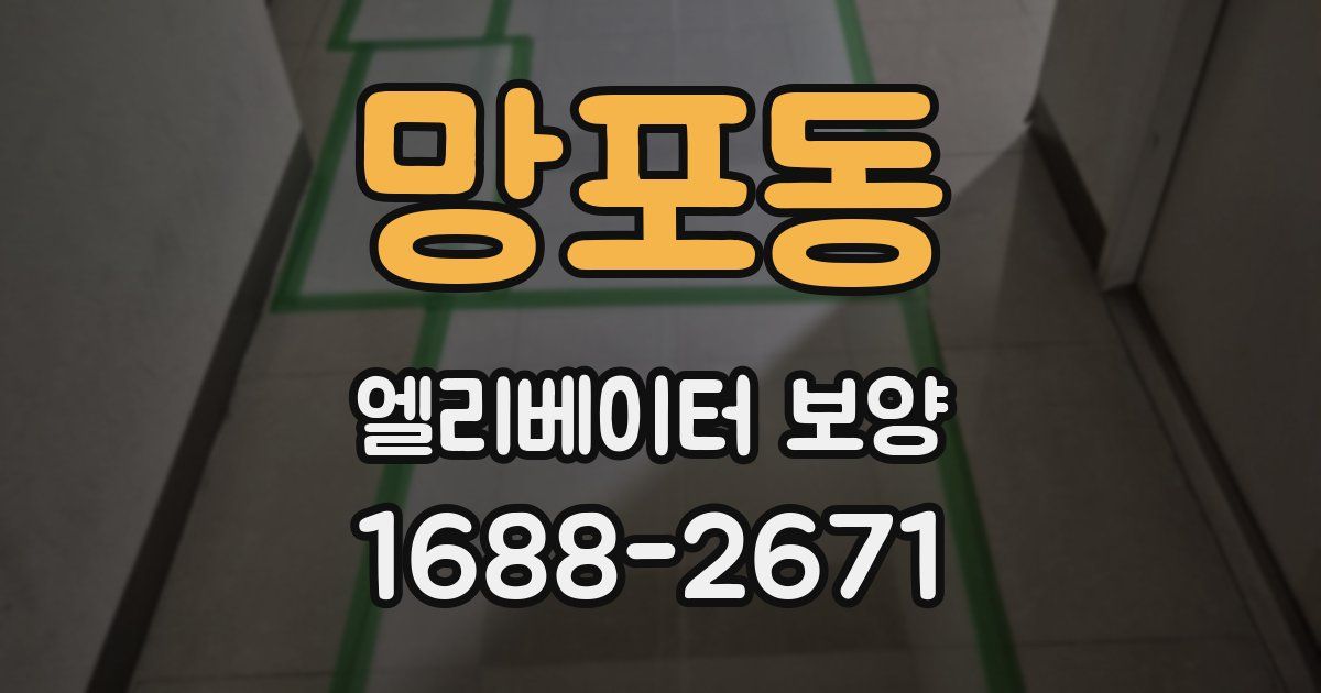 망포동 엘리베이터 보양