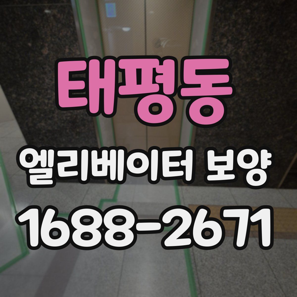 태평동 엘리베이터 보양