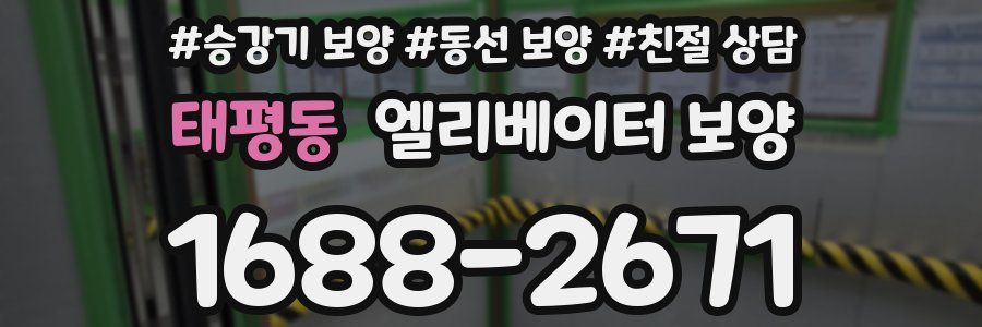 태평동 엘리베이터 보양
