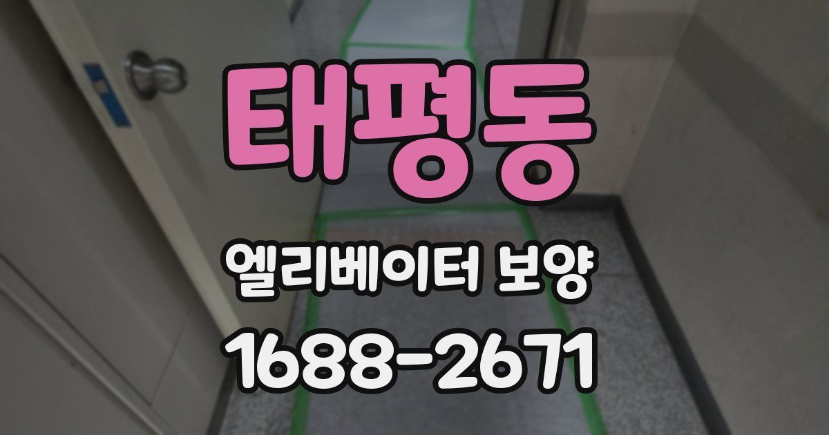 태평동 엘리베이터 보양