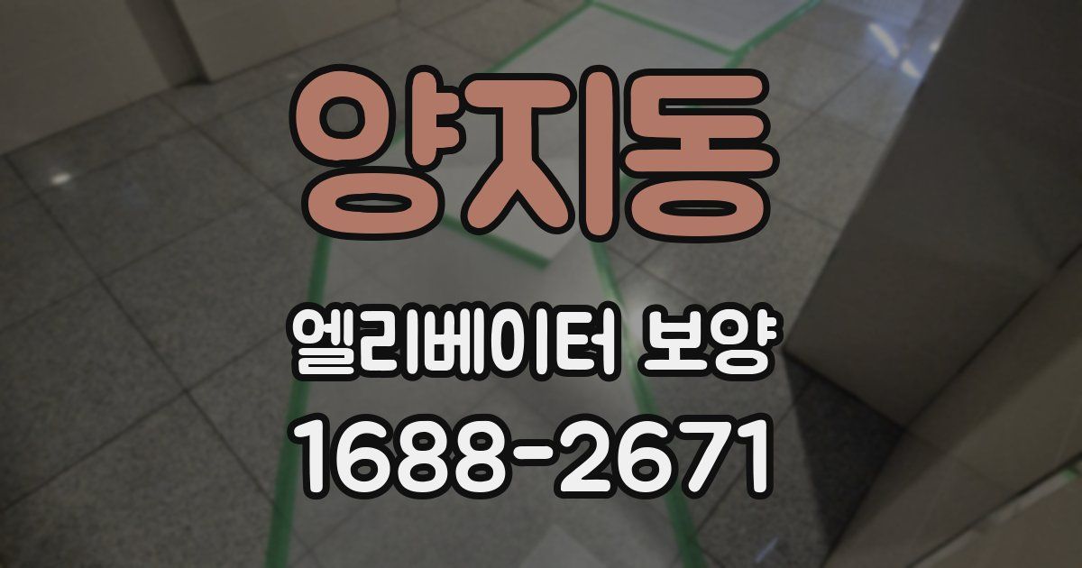 양지동 엘리베이터 보양