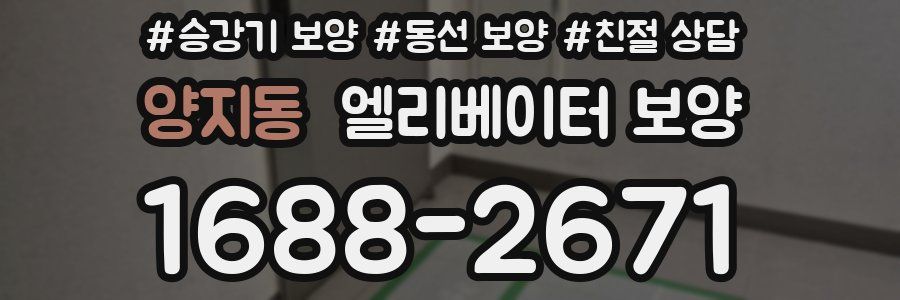 양지동 엘리베이터 보양