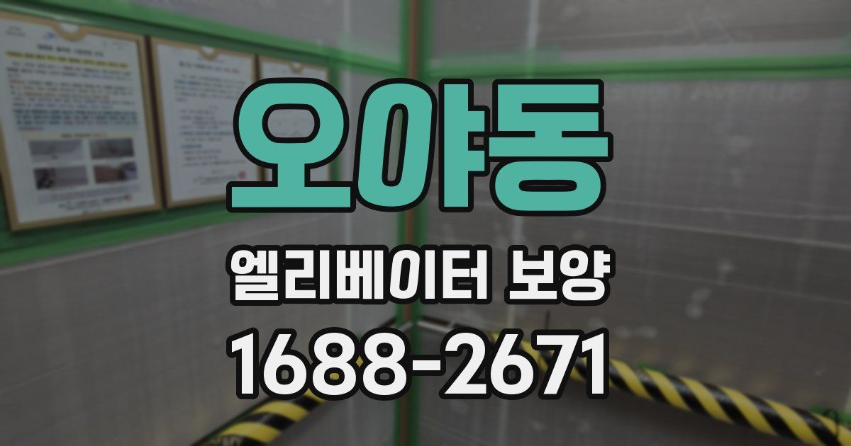 오야동 엘리베이터 보양