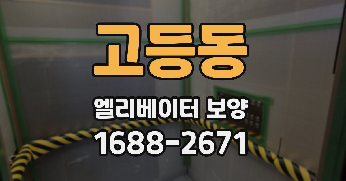 고등동 엘리베이터 보양