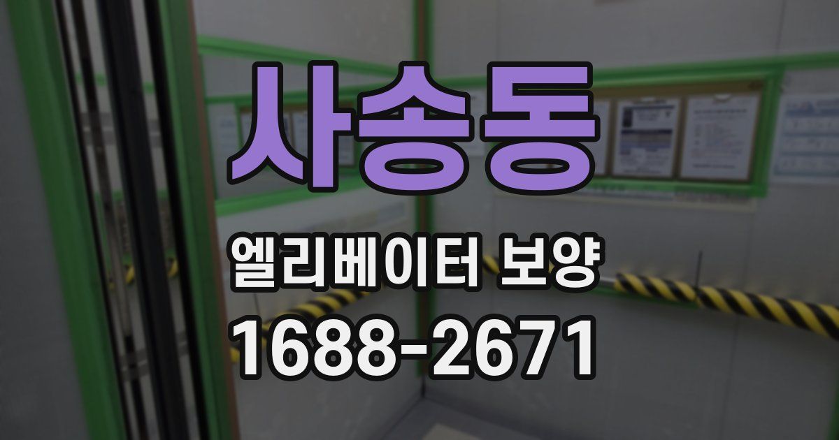 사송동 엘리베이터 보양