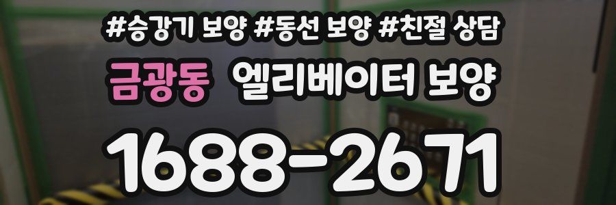 금광동 엘리베이터 보양