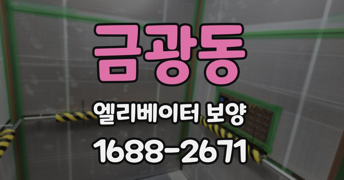 금광동 엘리베이터 보양