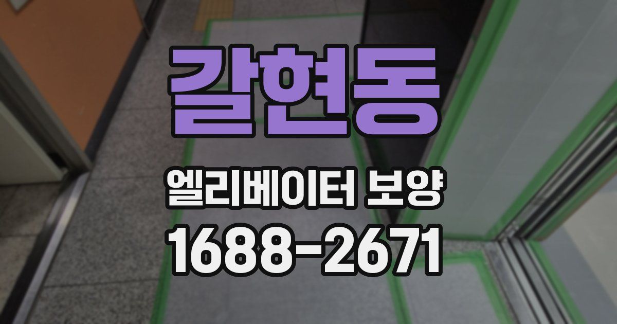갈현동 엘리베이터 보양