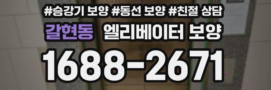 갈현동 엘리베이터 보양