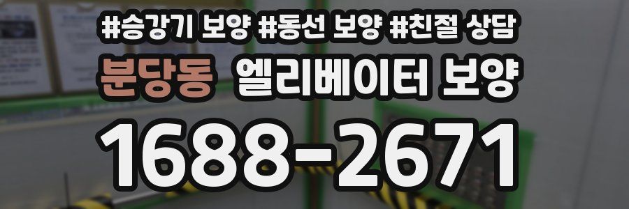 분당동 엘리베이터 보양
