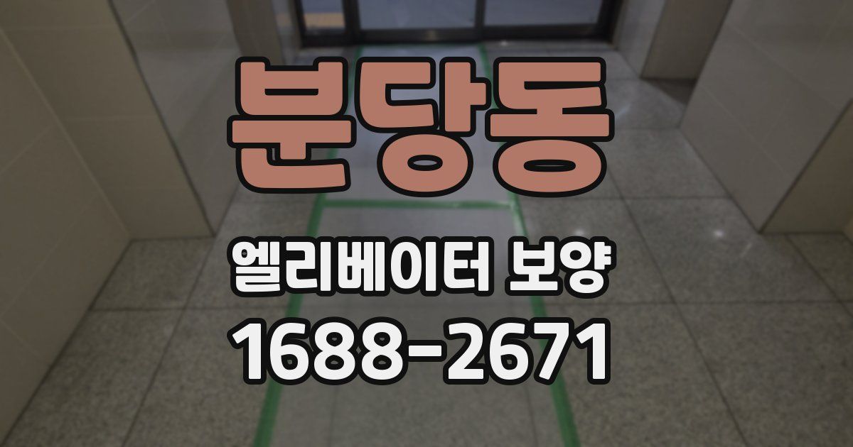 분당동 엘리베이터 보양