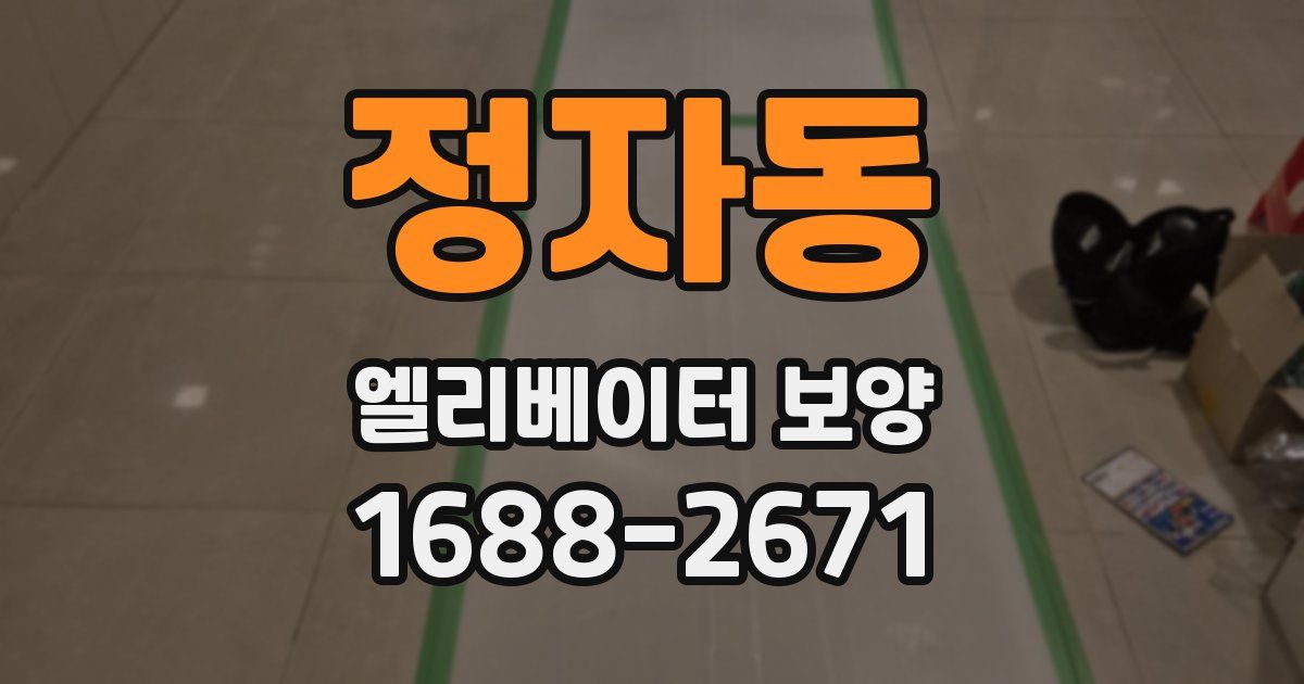정자동 엘리베이터 보양