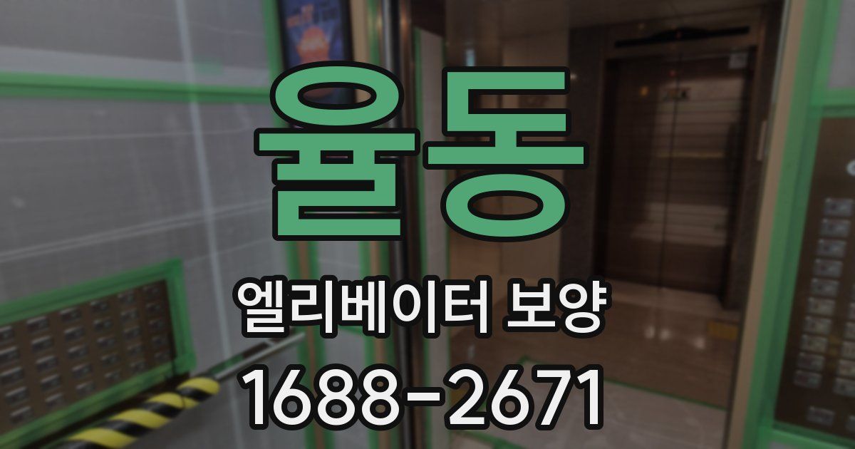 율동 엘리베이터 보양