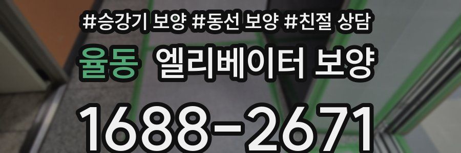 율동 엘리베이터 보양
