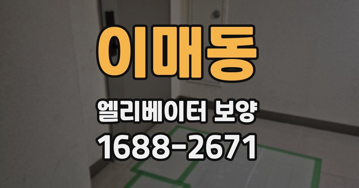 이매동 엘리베이터 보양