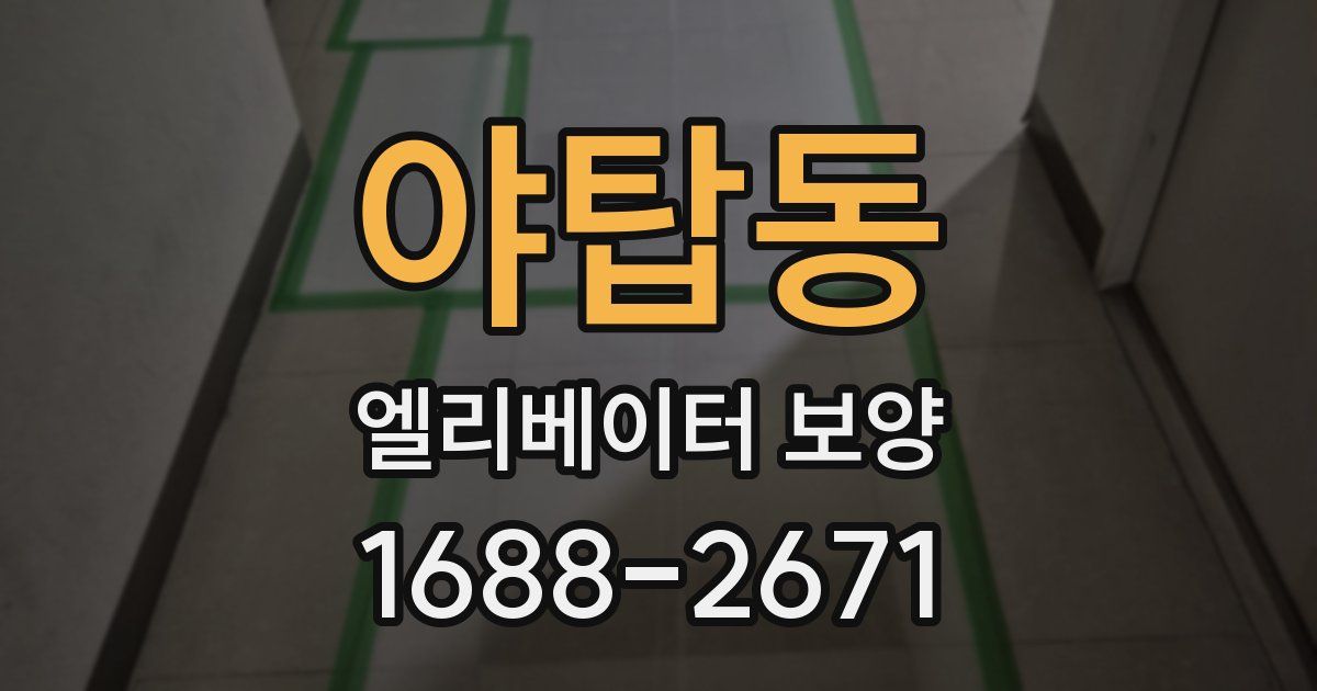 야탑동 엘리베이터 보양