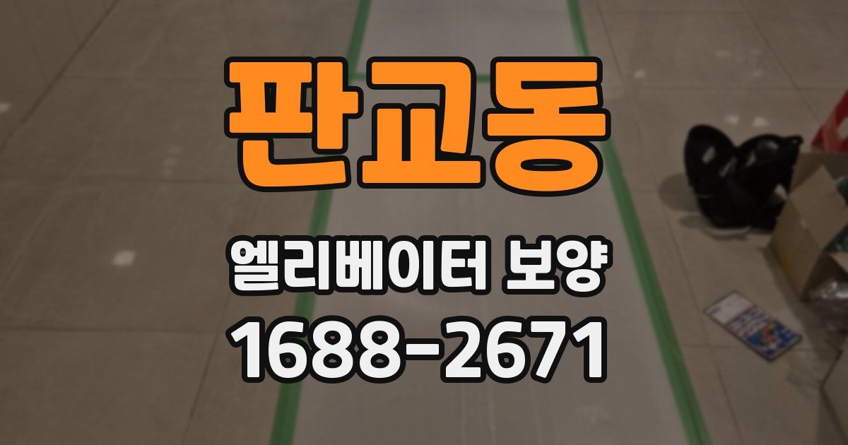 판교동 엘리베이터 보양