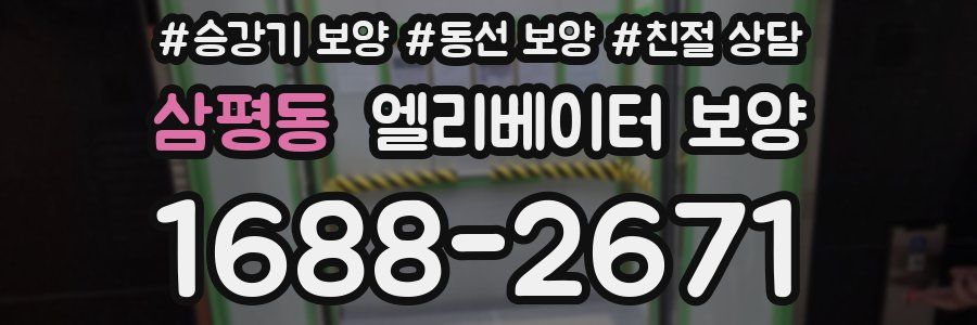 삼평동 엘리베이터 보양