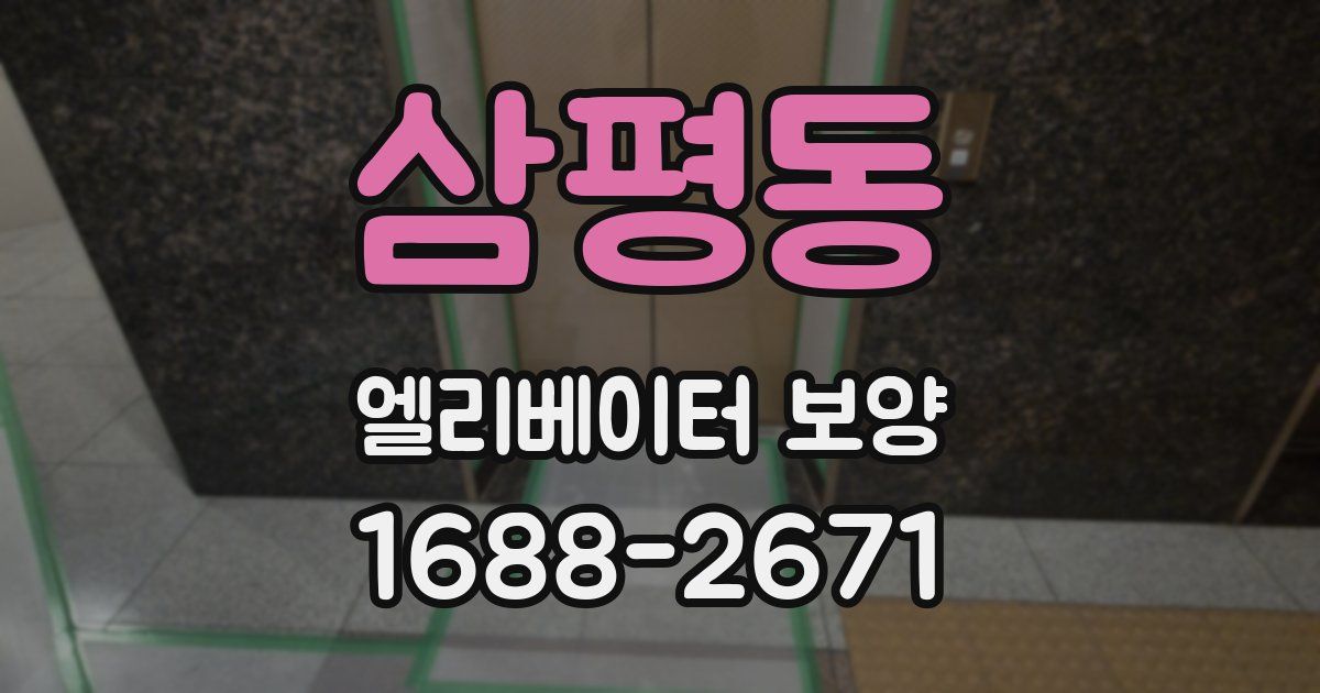 삼평동 엘리베이터 보양