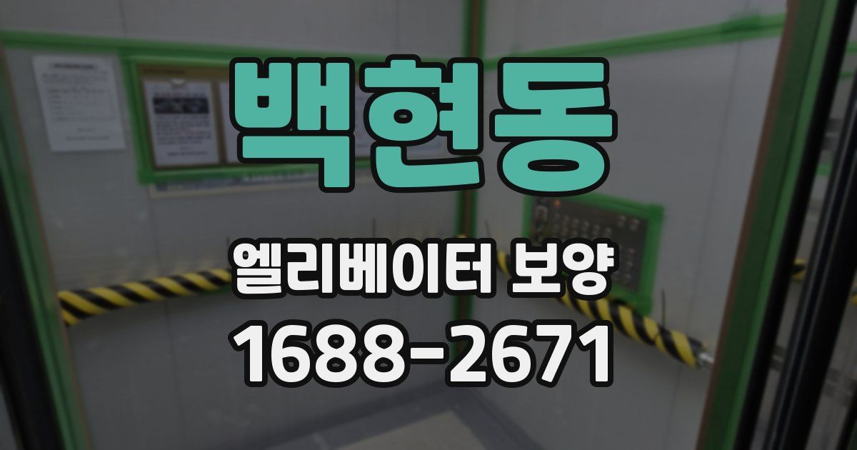 백현동 엘리베이터 보양