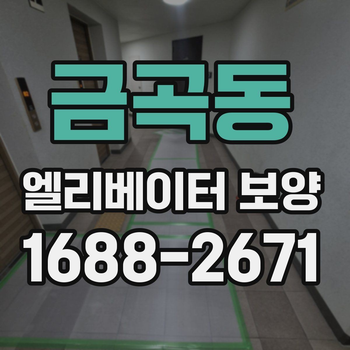 금곡동 엘리베이터 보양 비용이 달라지는 이유