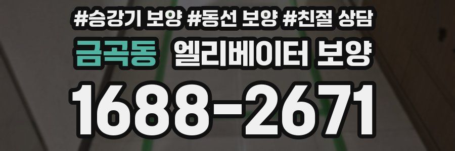금곡동 엘리베이터 보양