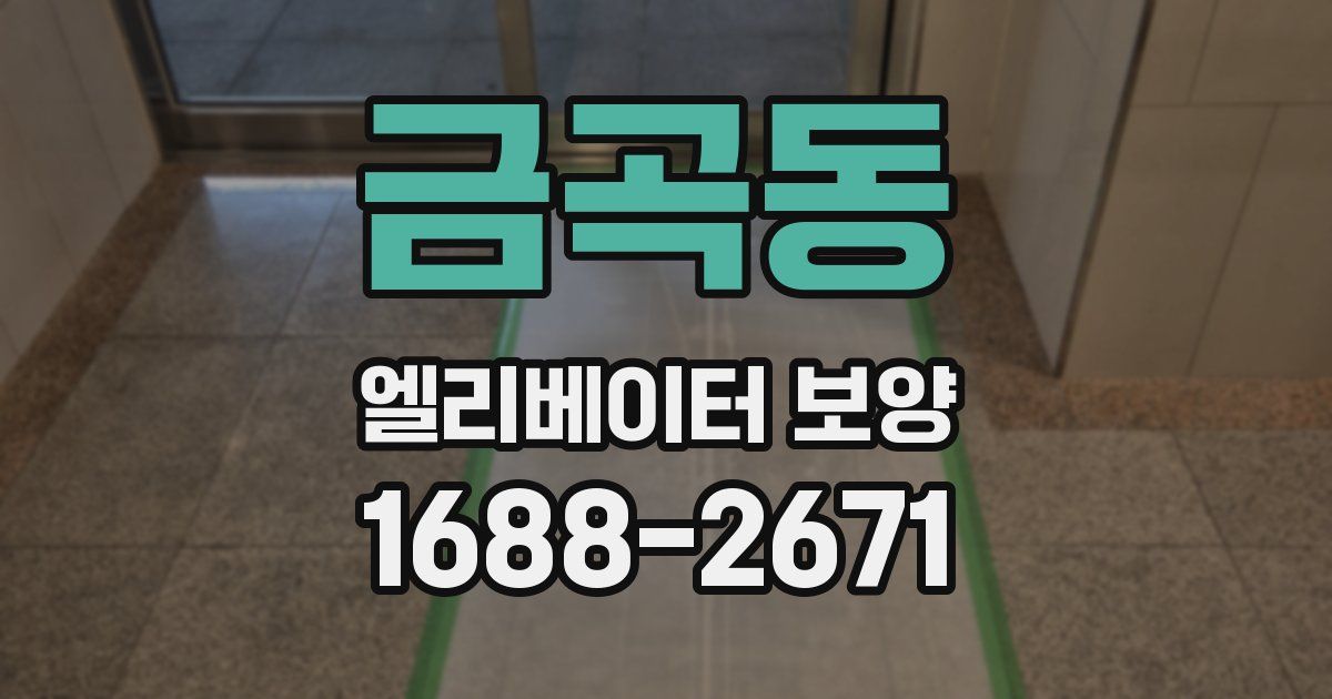 금곡동 엘리베이터 보양