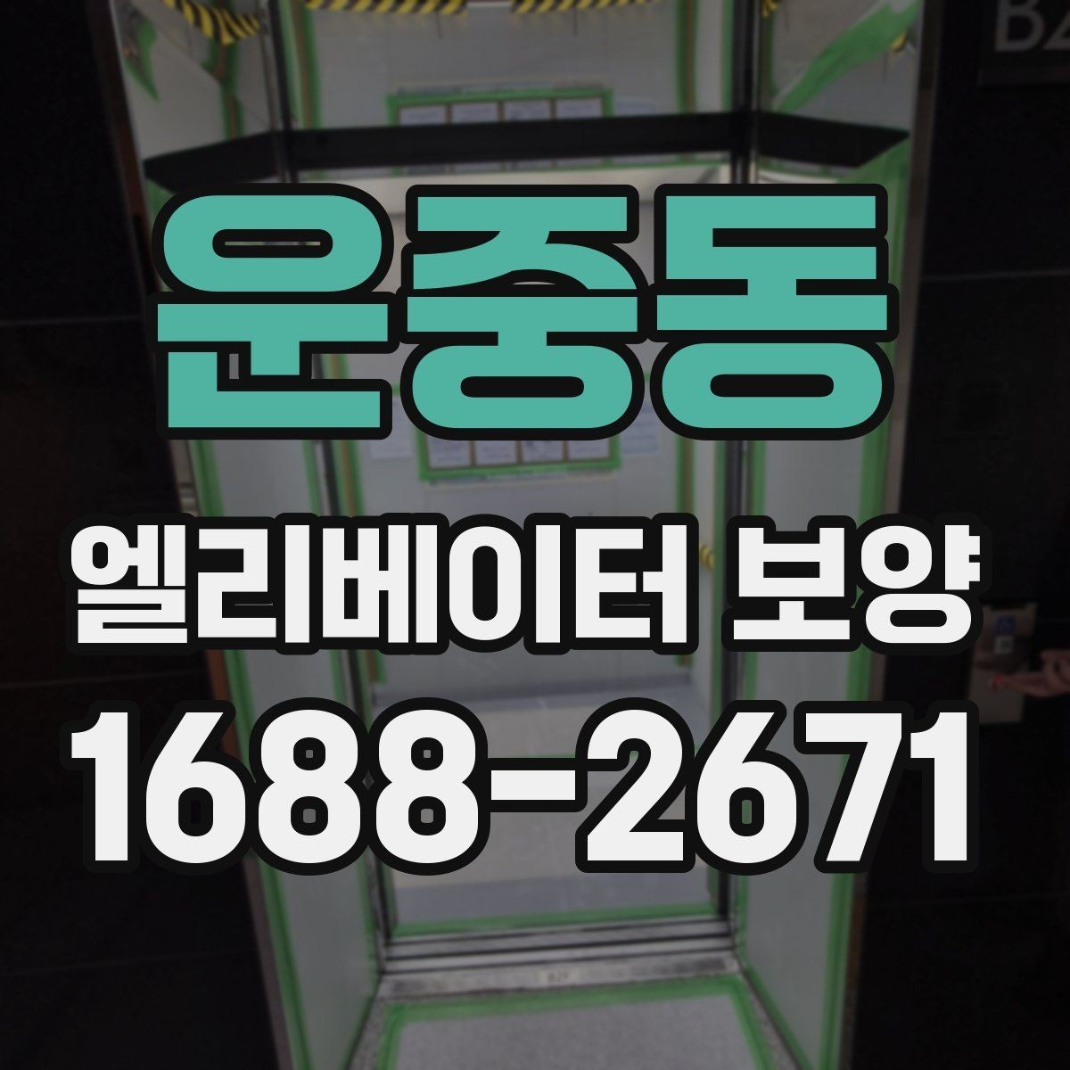 운중동 엘리베이터 보양 자재 선택할 때 보는 포인트