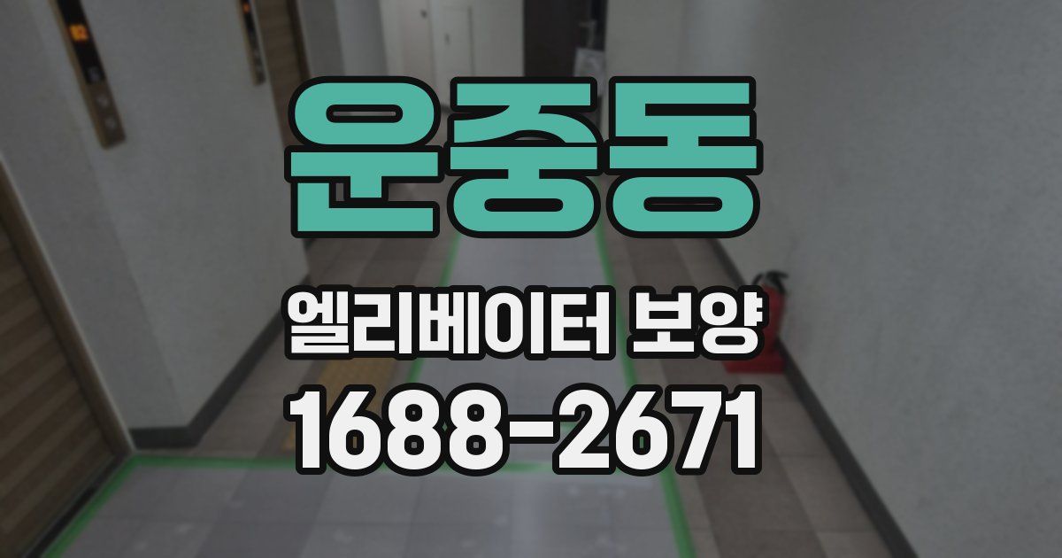 운중동 엘리베이터 보양