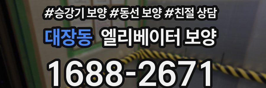 대장동 엘리베이터 보양