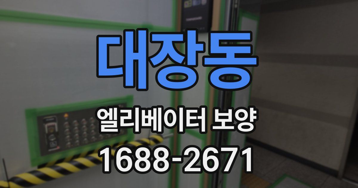 대장동 엘리베이터 보양