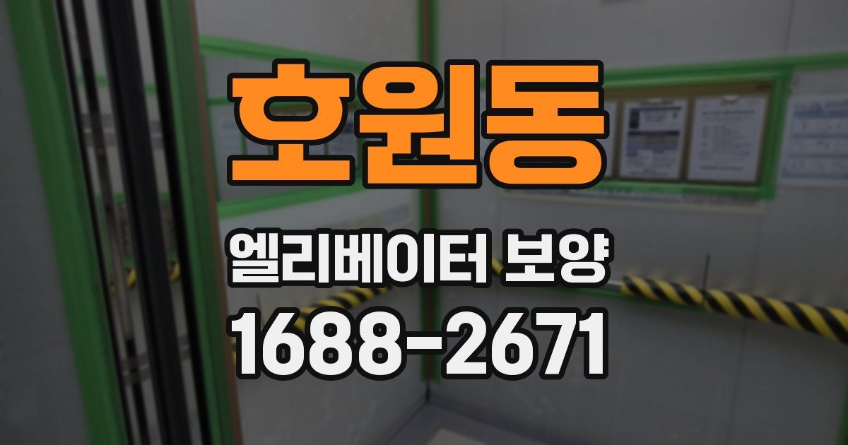호원동 엘리베이터 보양
