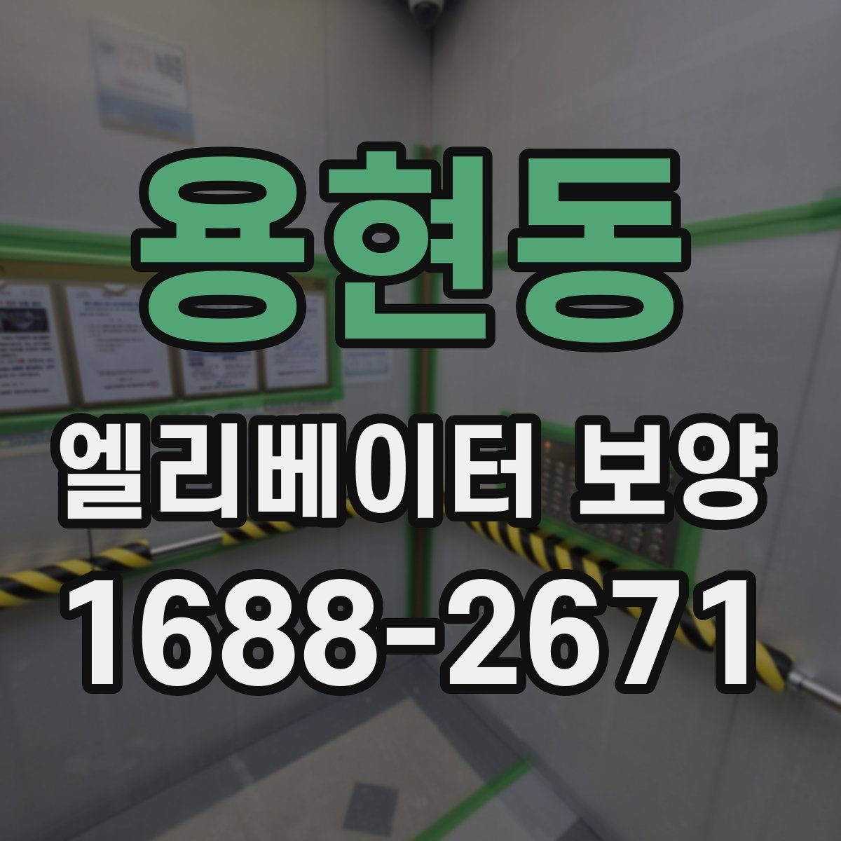 용현동 엘리베이터 보양 현장 사진으로 보는 진행 방식